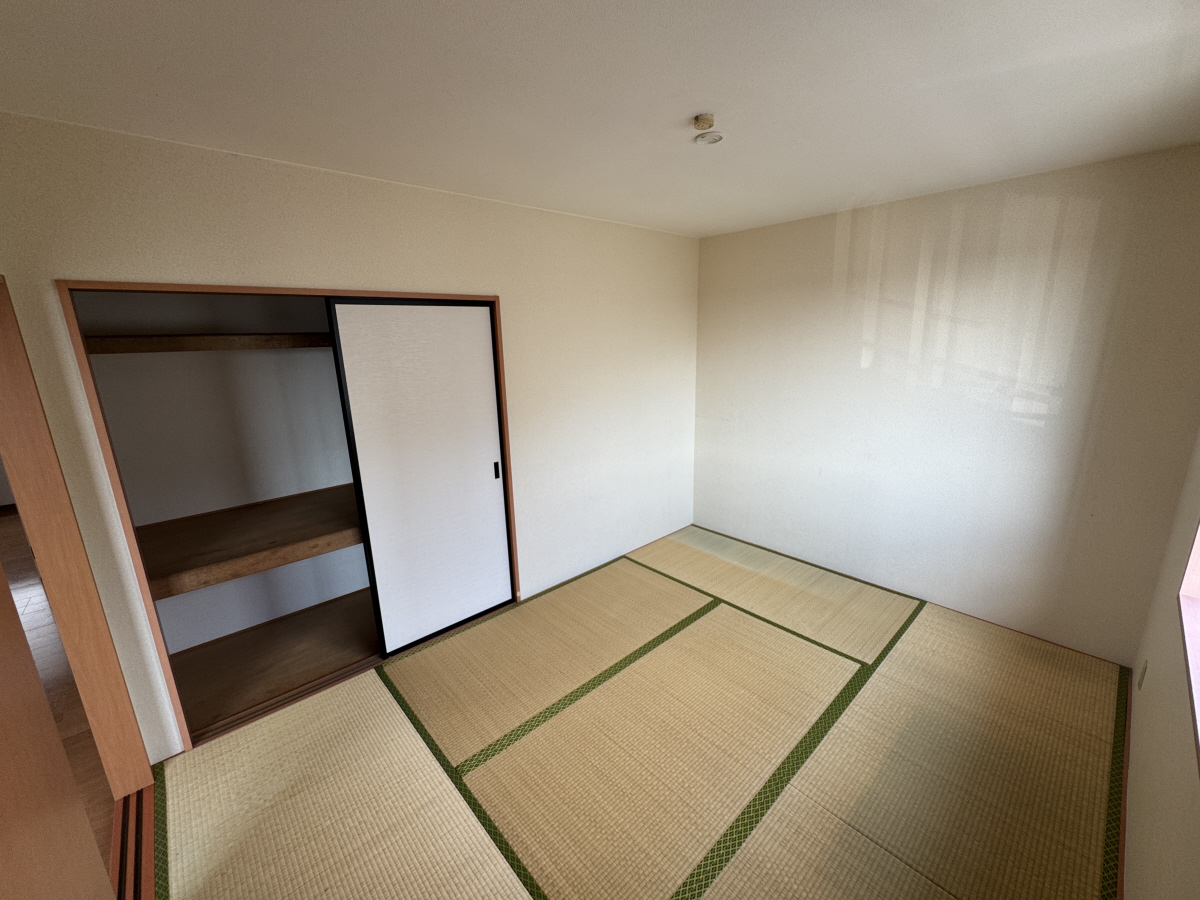 写真11