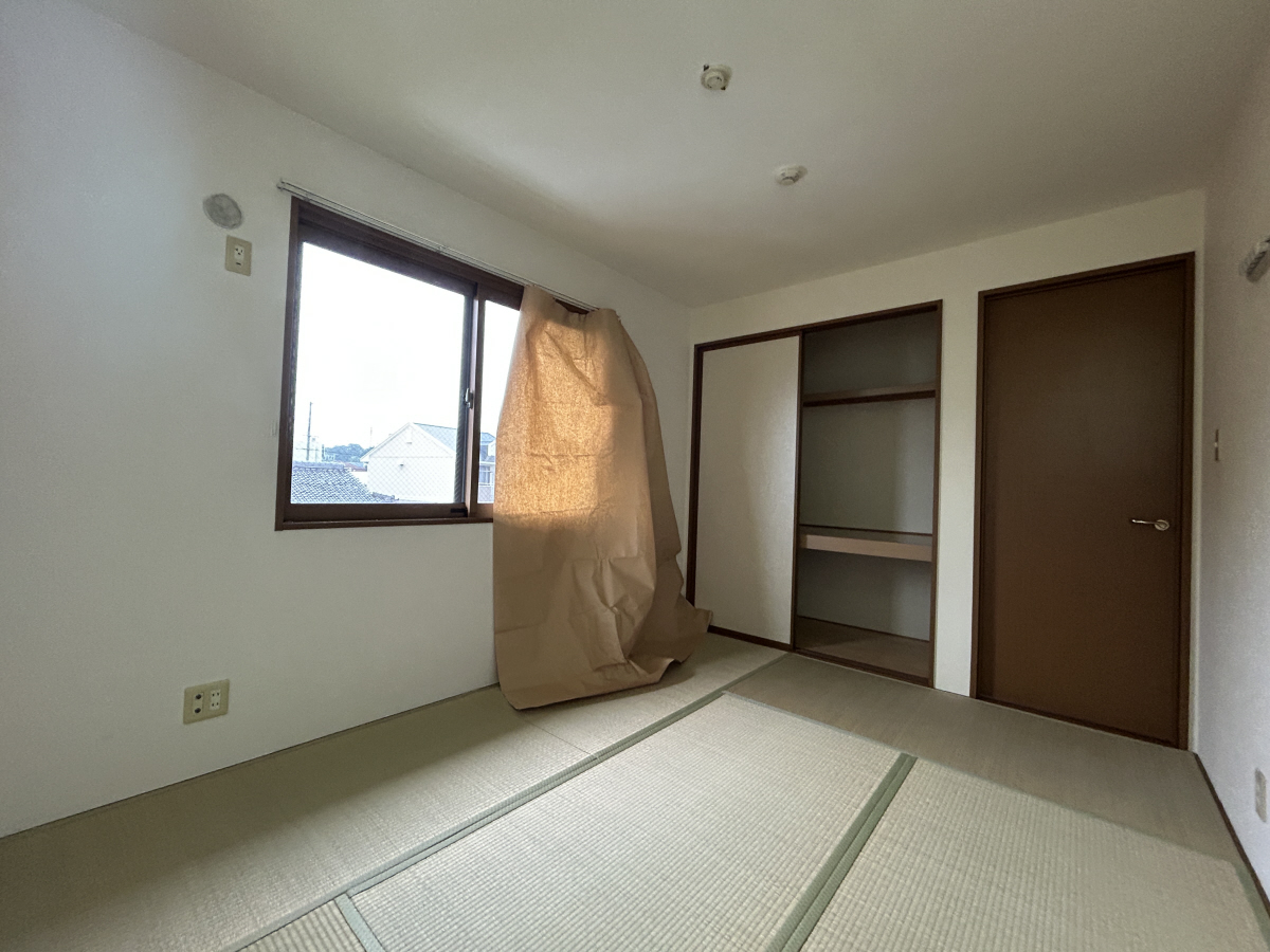 写真11