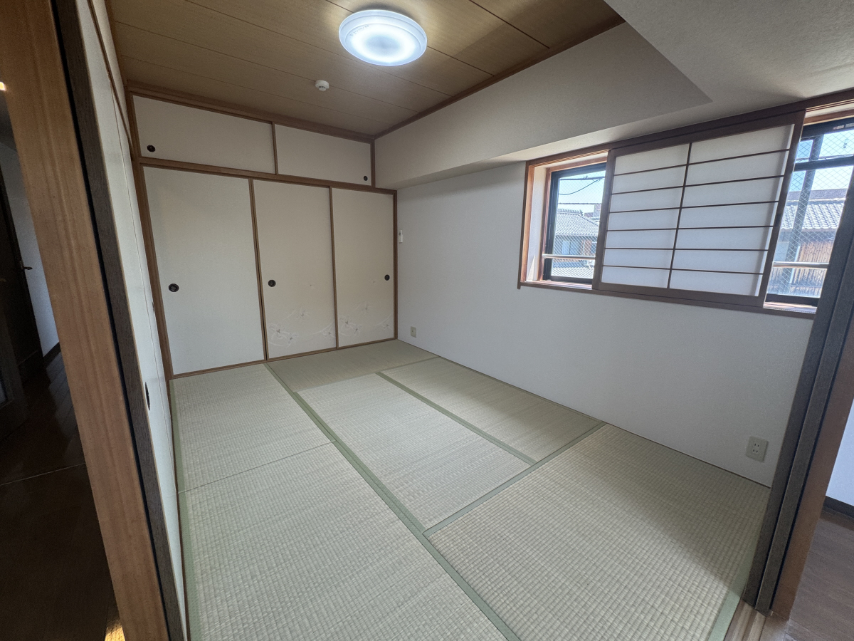 写真10