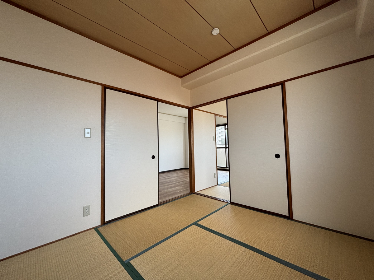 写真11