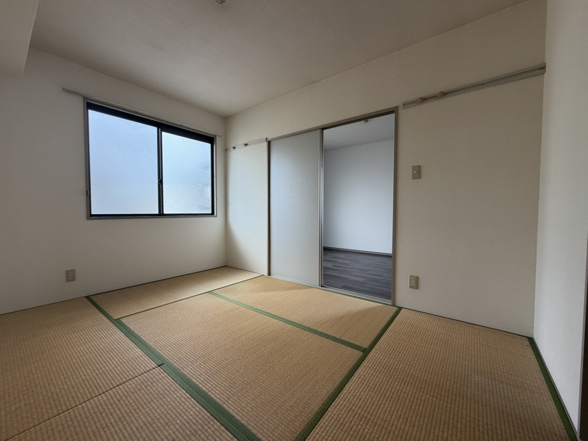 写真10