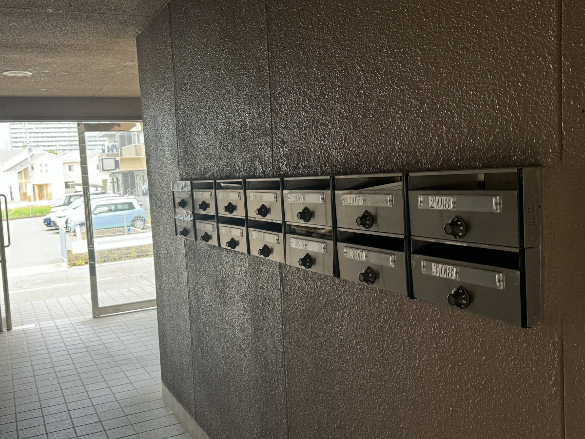 写真11