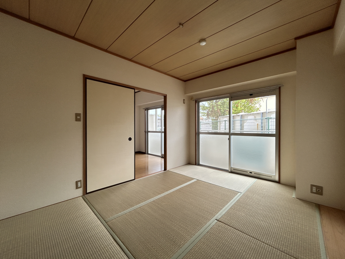 写真10