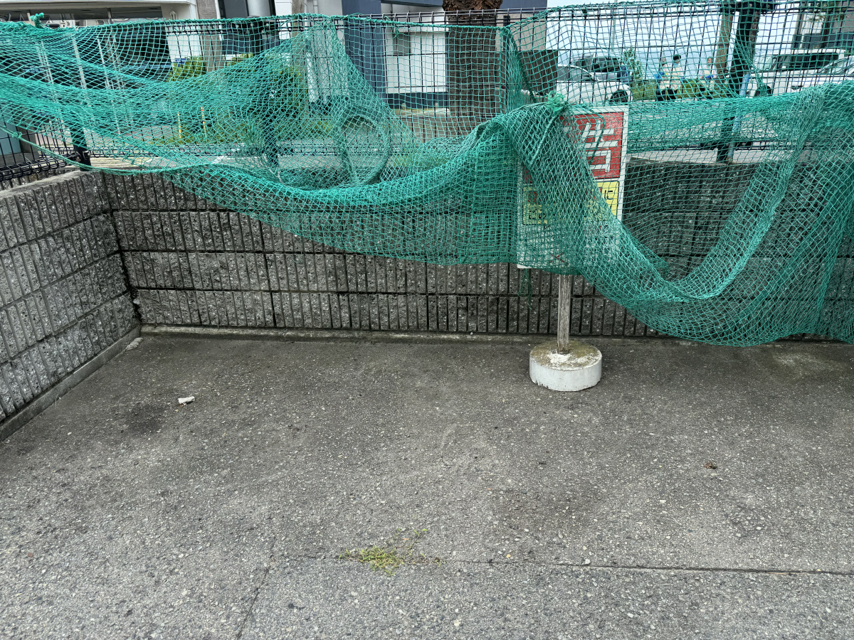 写真10