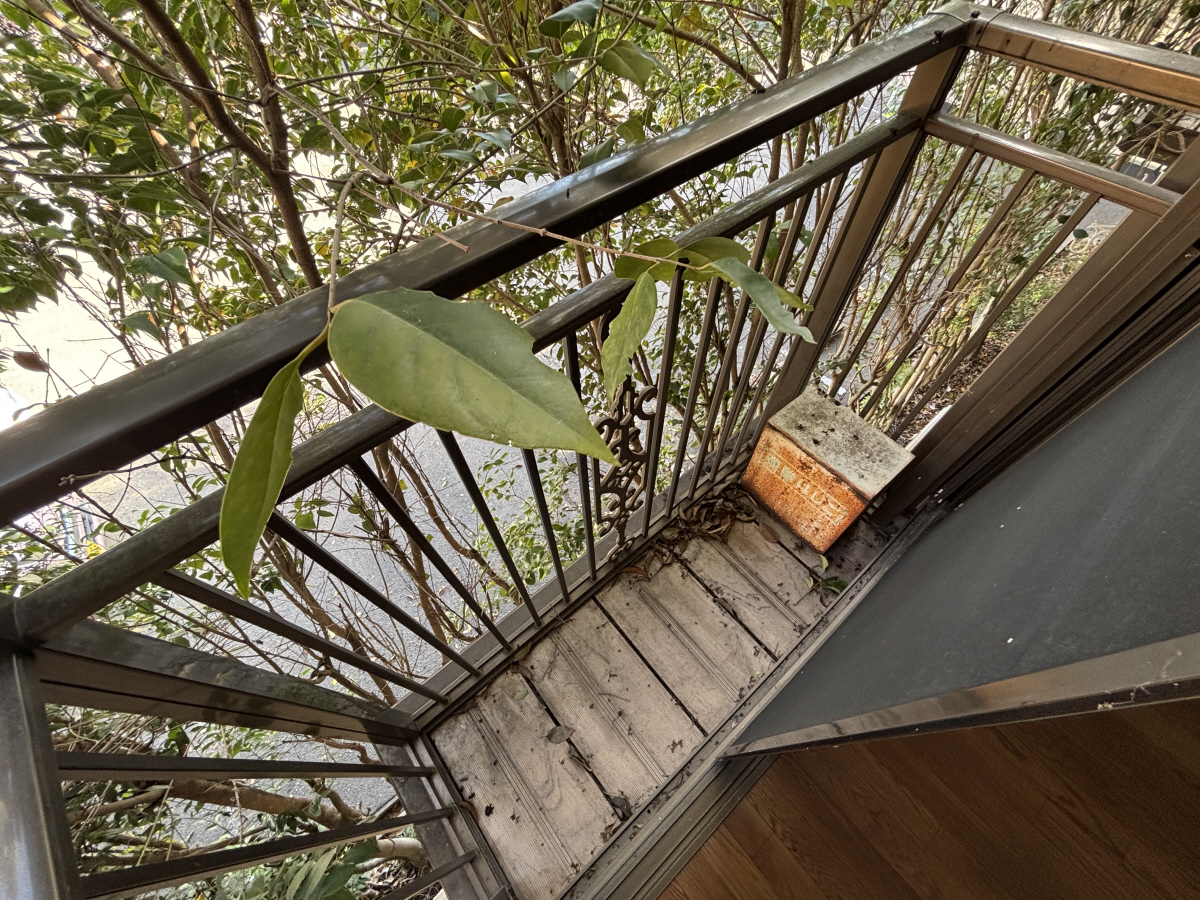 バルコニー・ベランダ 写真11