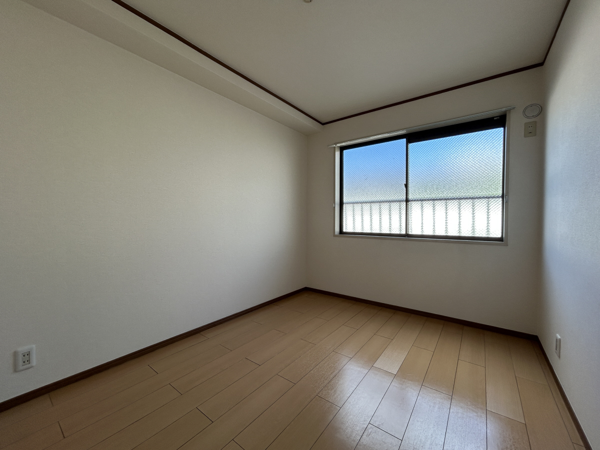 写真10