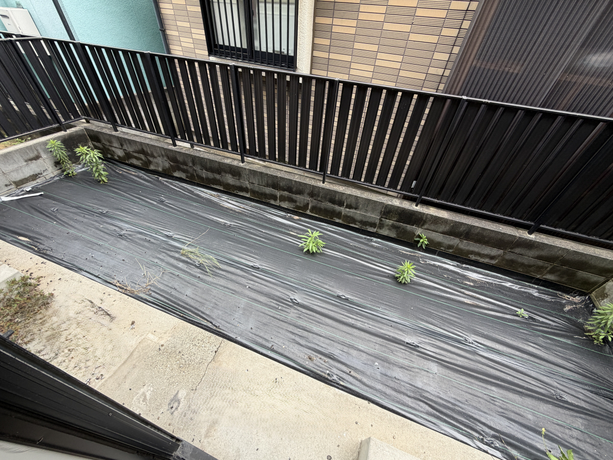 庭 写真11