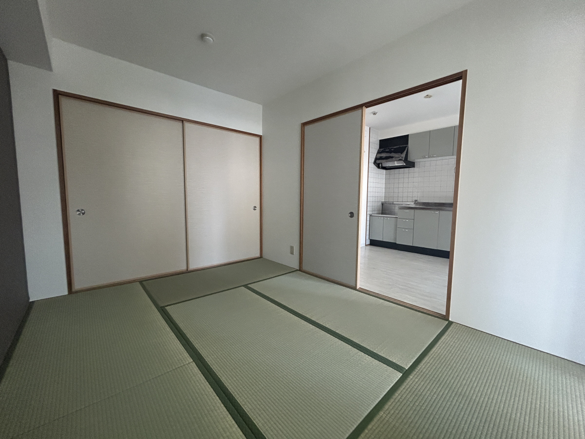 写真10