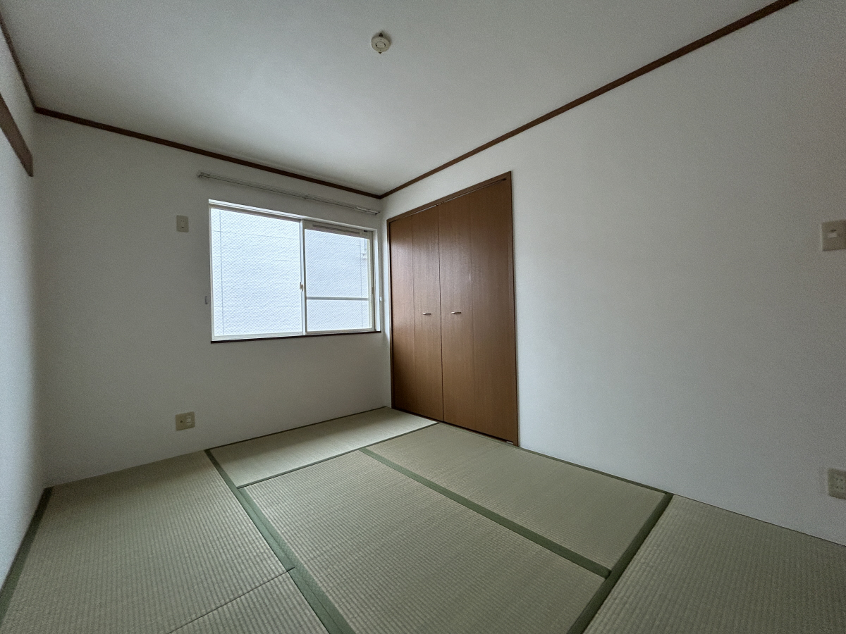 写真10