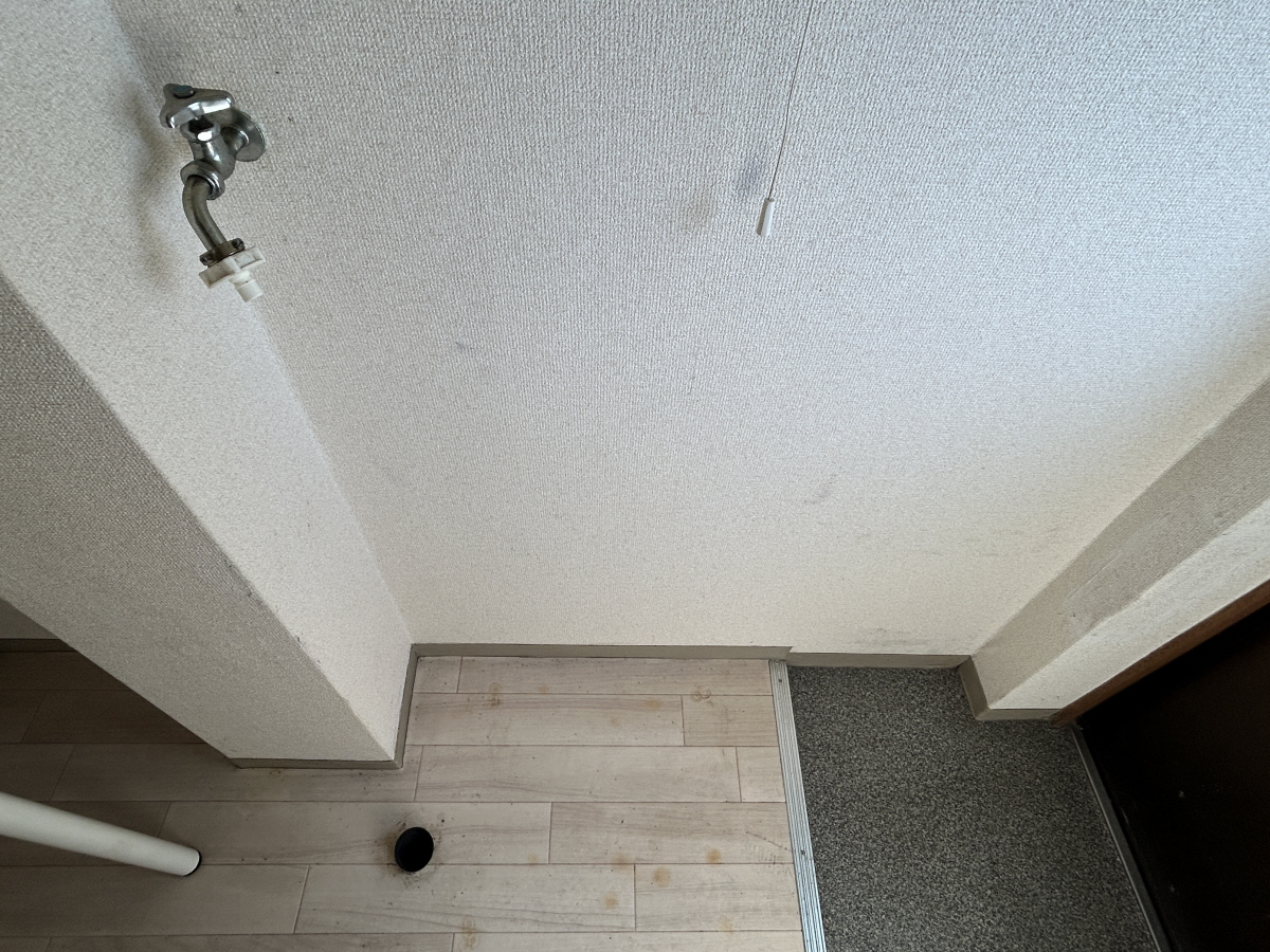 写真12