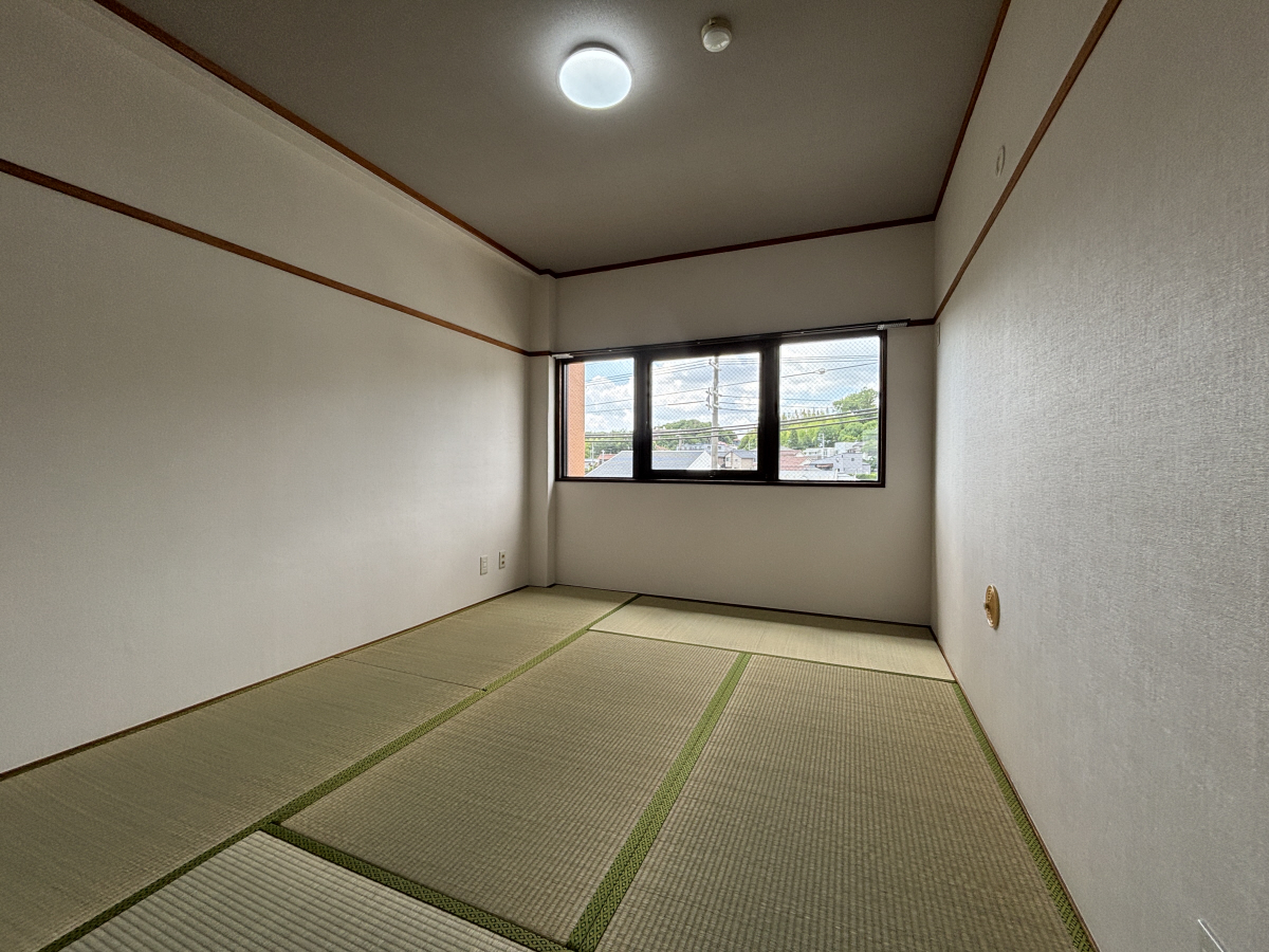 写真16
