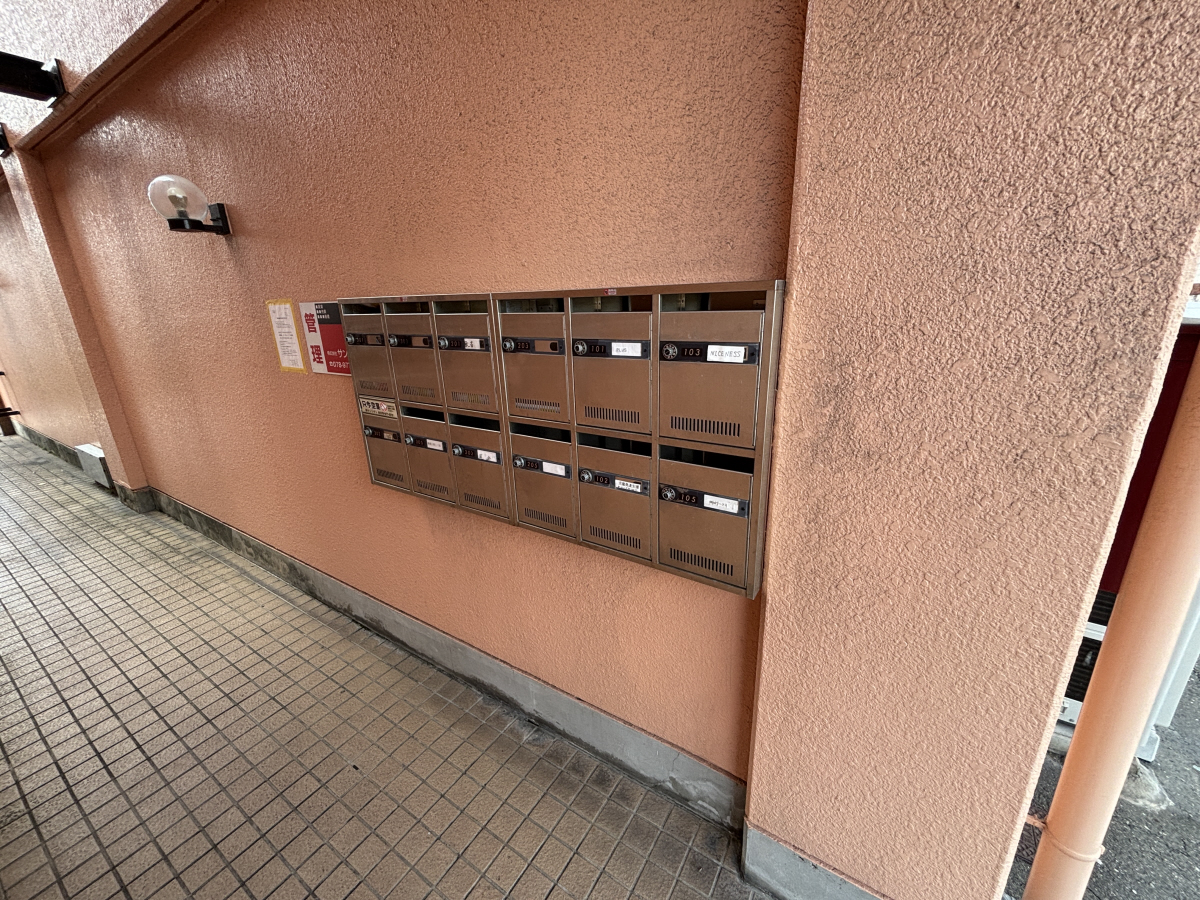 写真19