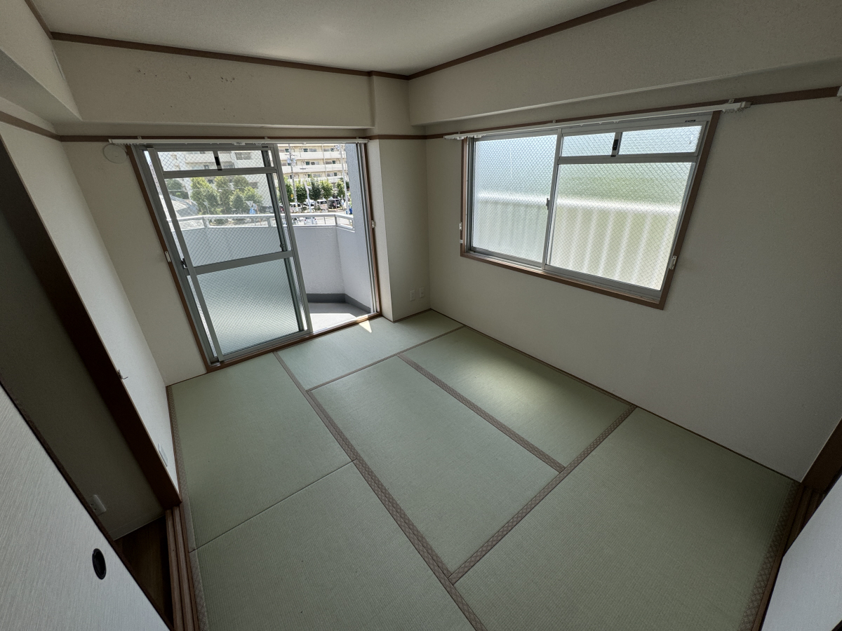 写真11