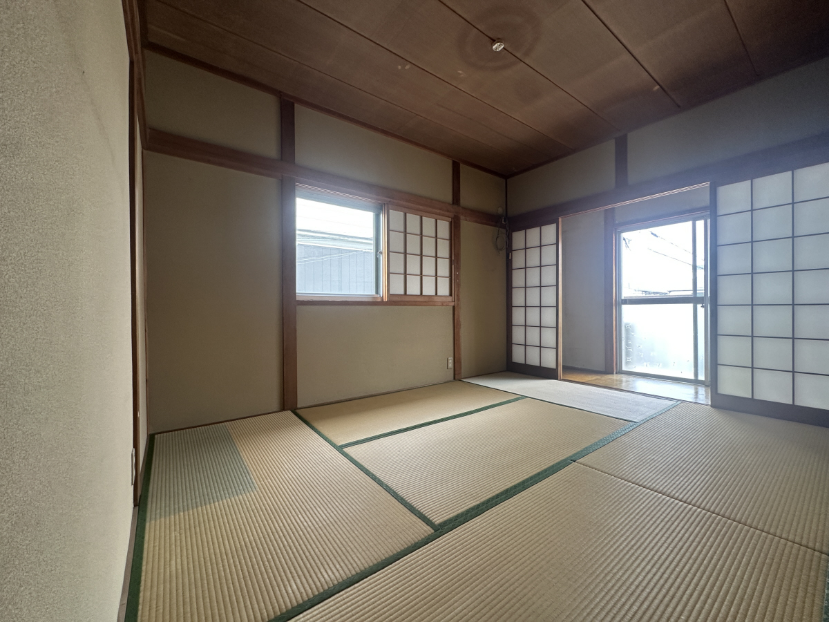 写真11