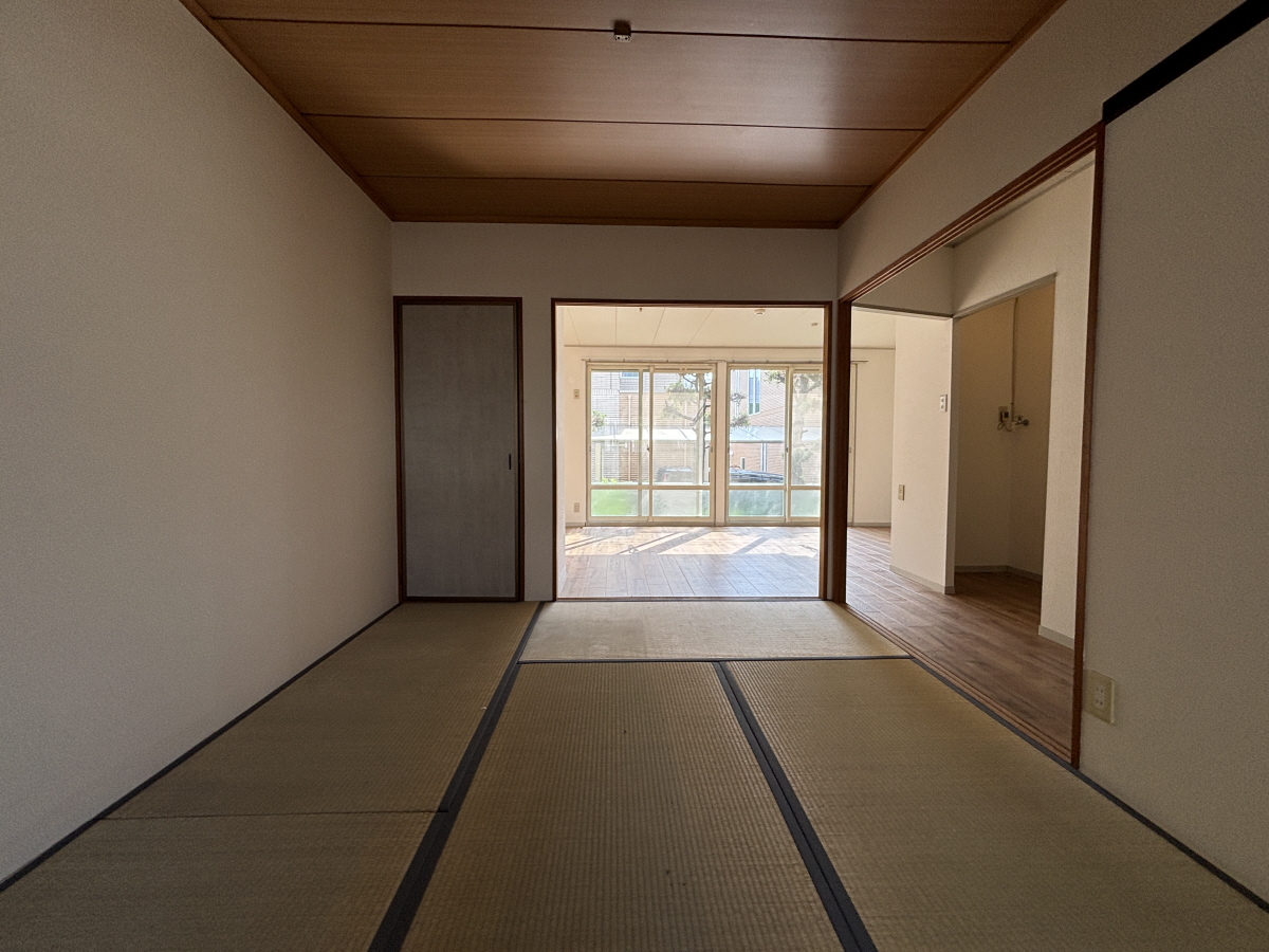 写真10