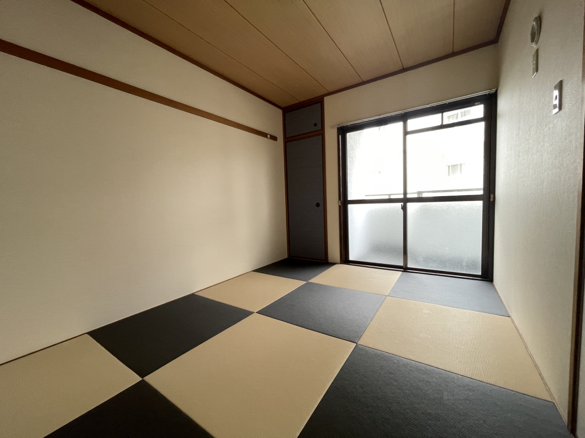 写真10