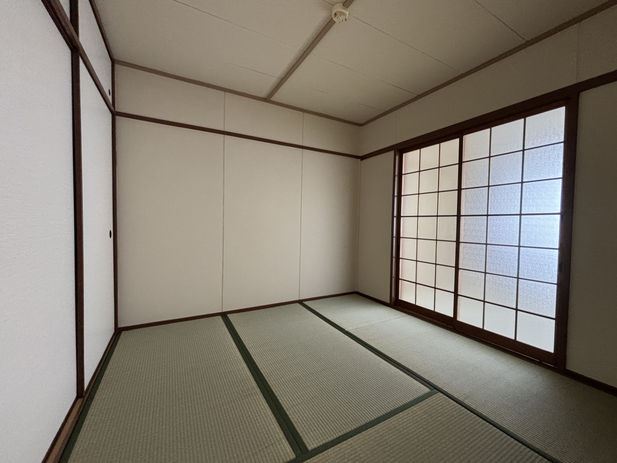 写真10