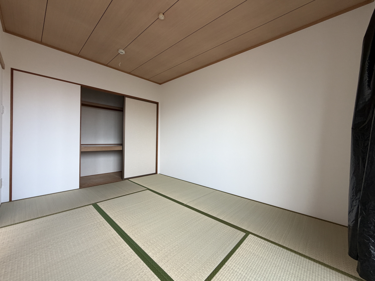 写真10