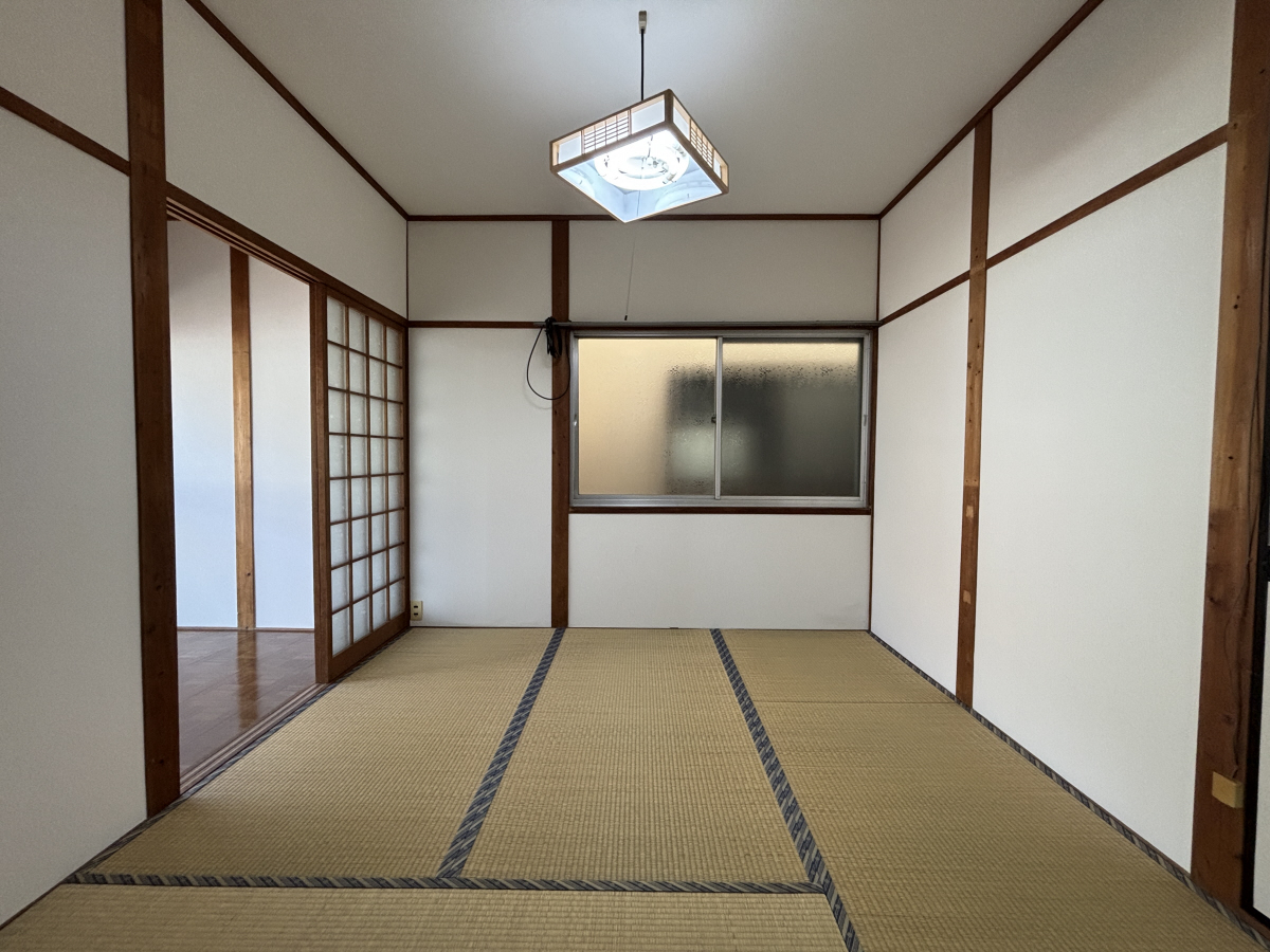 写真10