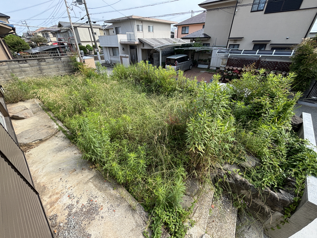 庭 写真11