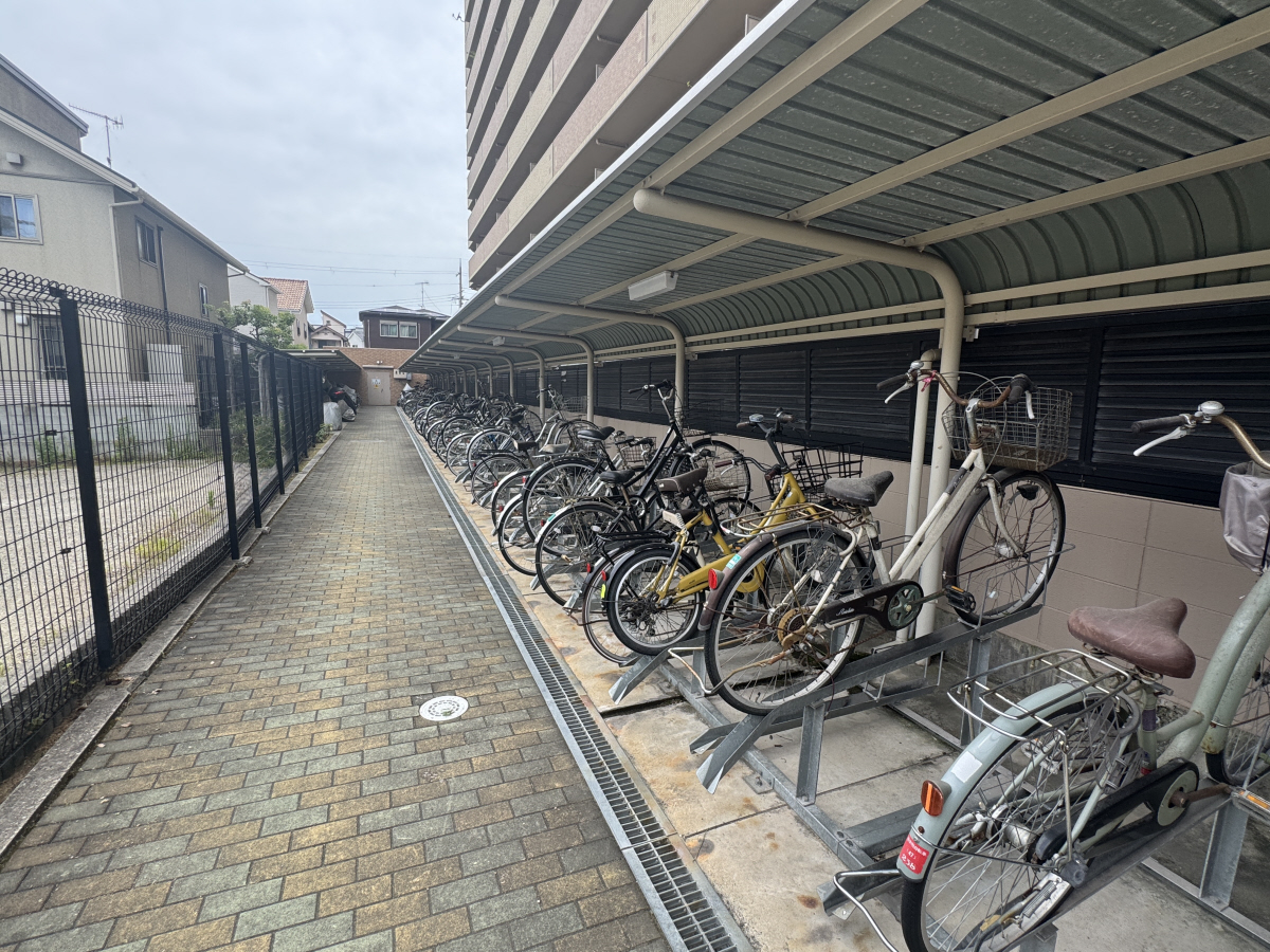 写真19
