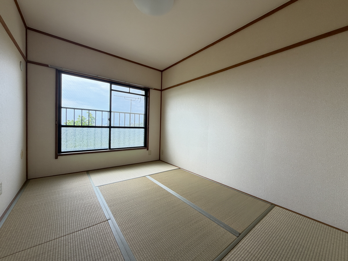 写真14