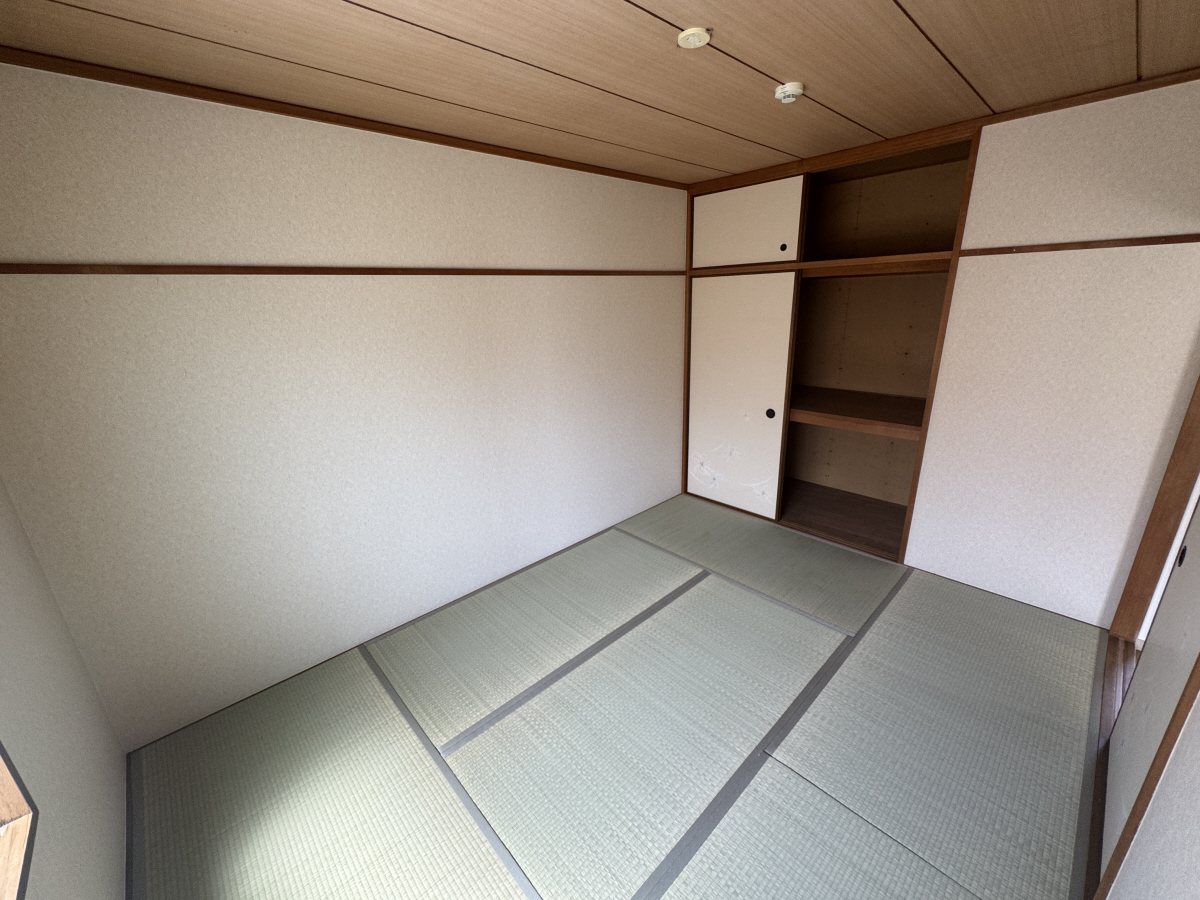 写真10