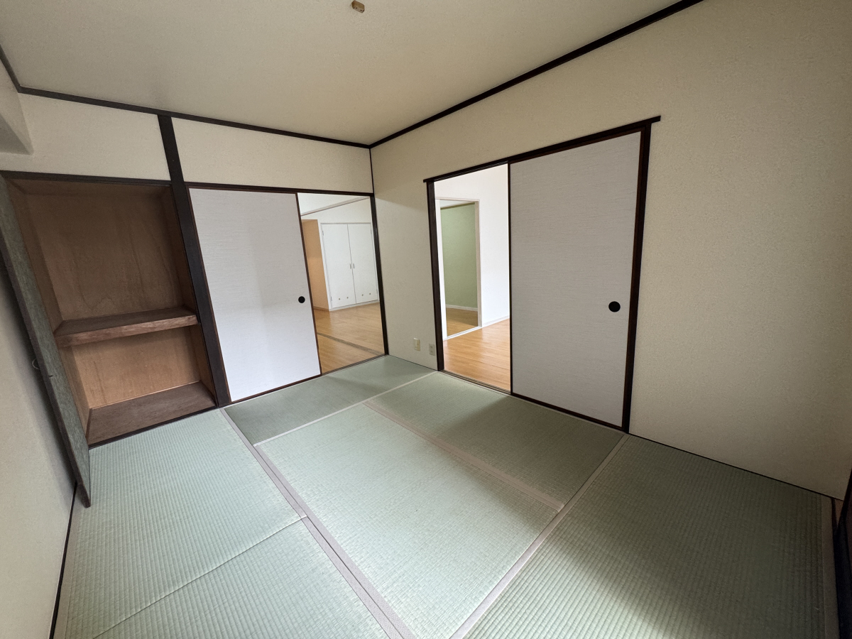 写真10