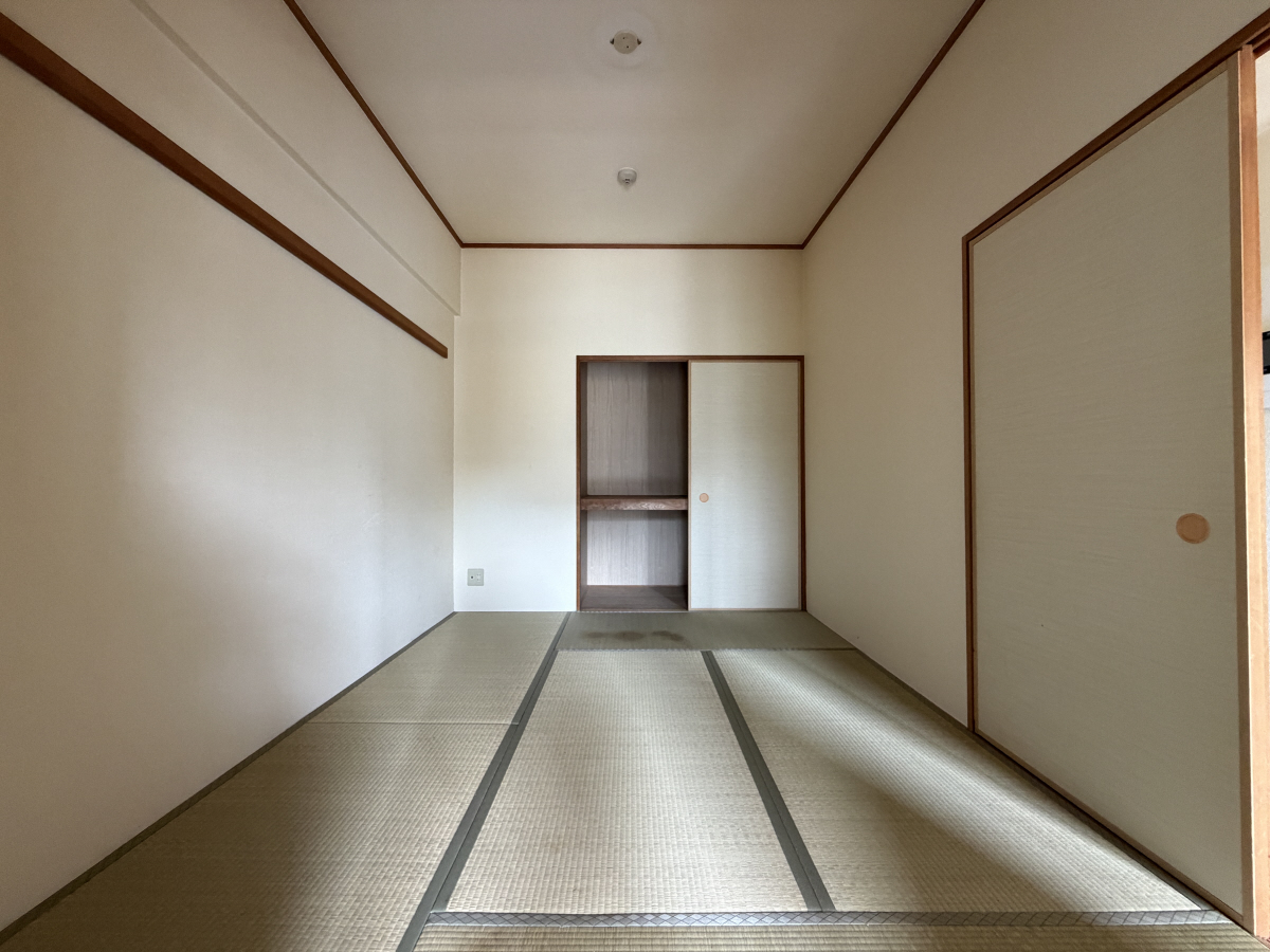 写真10