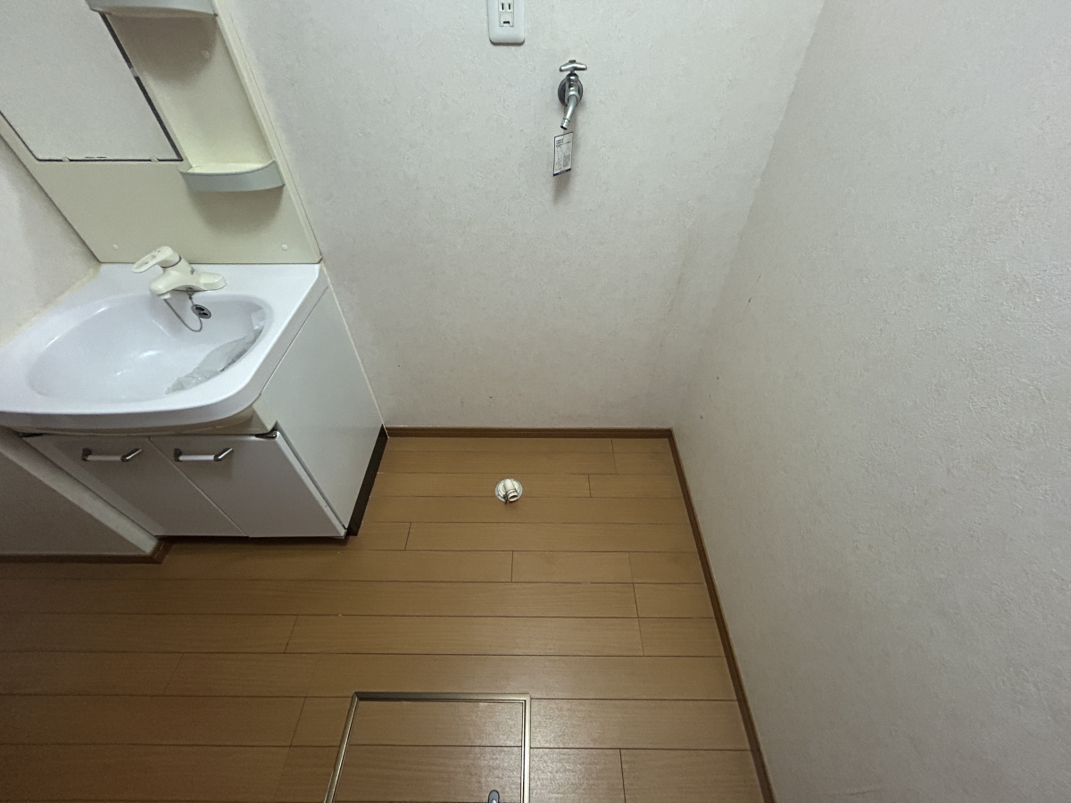 写真11