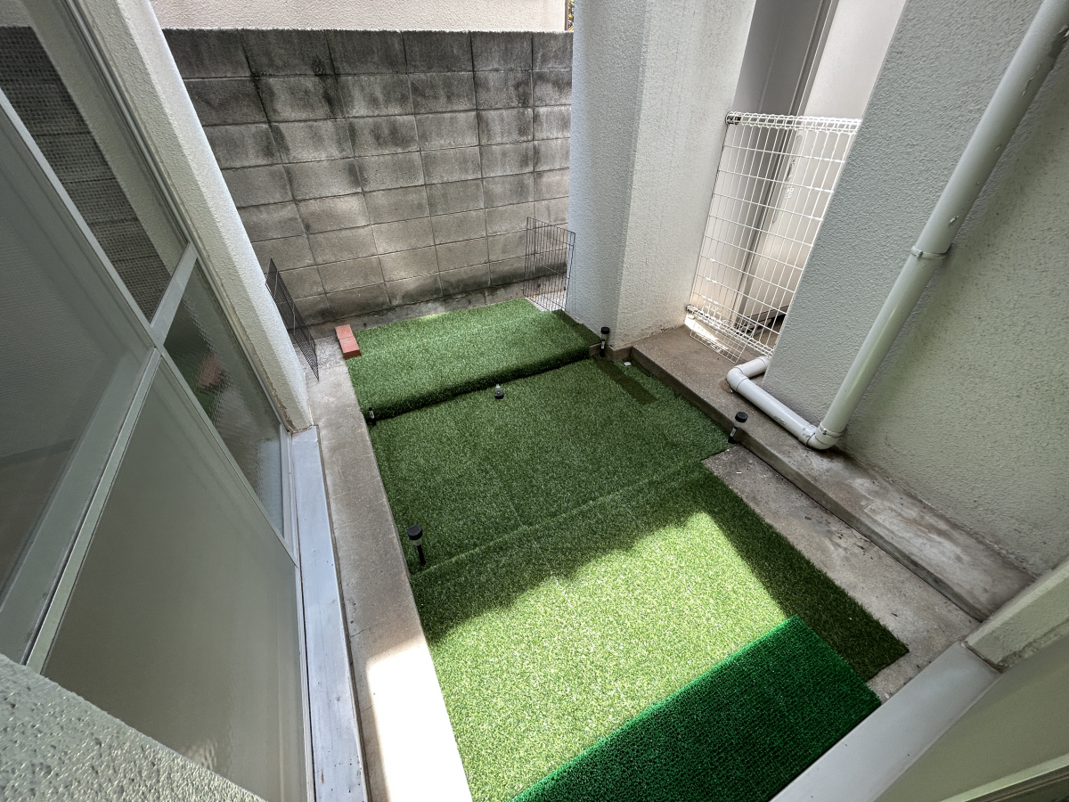 庭 写真13