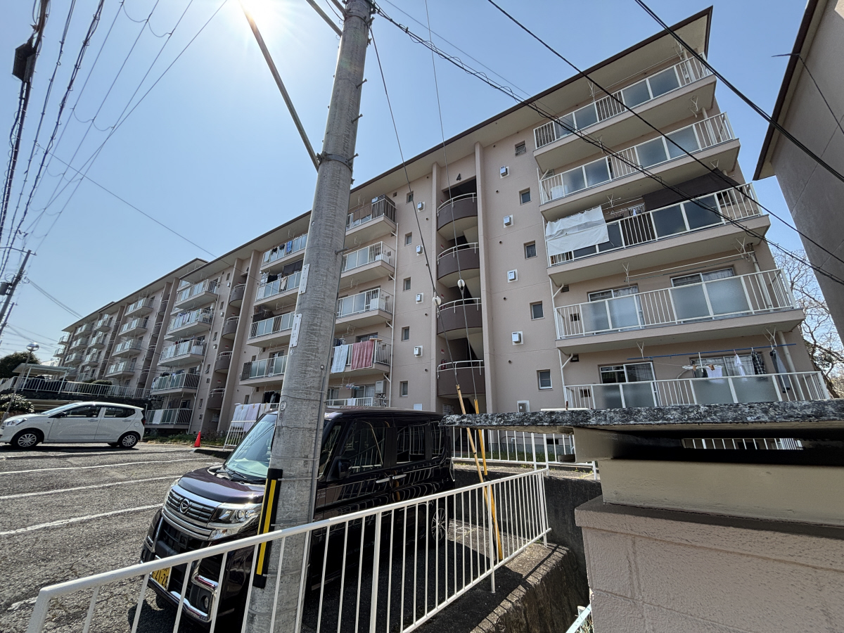 物件番号:1076745711 ペット(猫も)相談可 オール洋間に改装済み 最上階・角部屋で日当たり良好